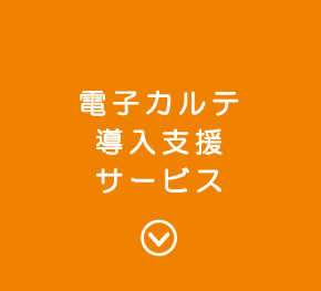 電子カルテ導入支援サービス